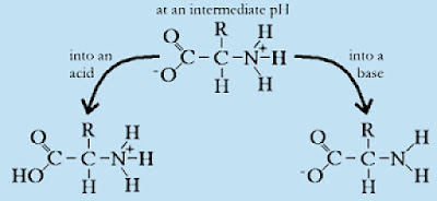 acids