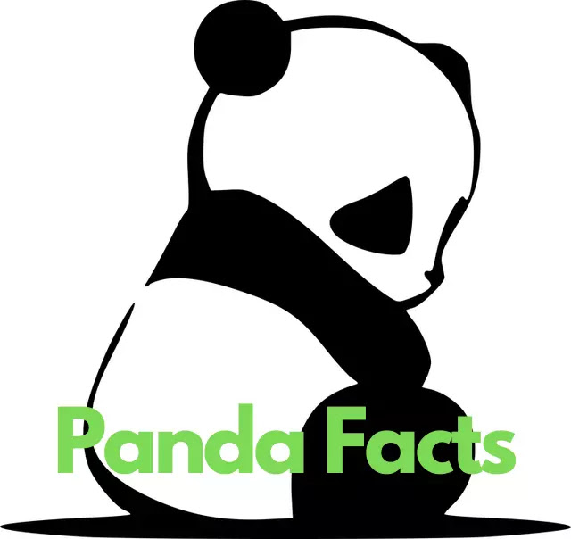 90+ Amazing Facts About Panda In Hindi