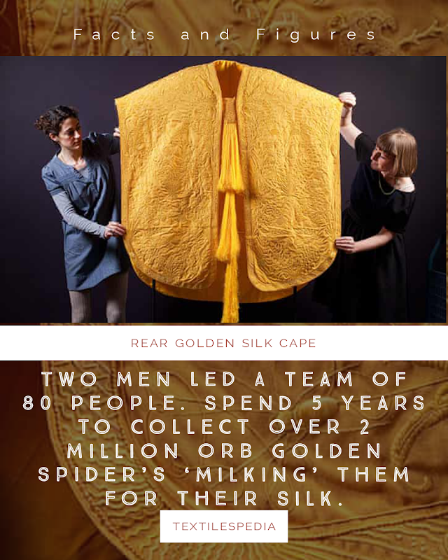 Arachnophobe Creates Cape Woven From Spider Silk