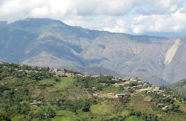 Las Palmeras de Quispe
