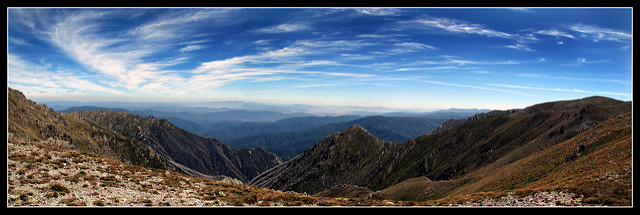 Patrimonio de la Humanidad Bosques húmedos Gondwana de Australia 1986