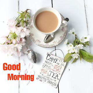 92+ Beautiful Good Morning With Tea Images, Pictures, Photos, Free Download