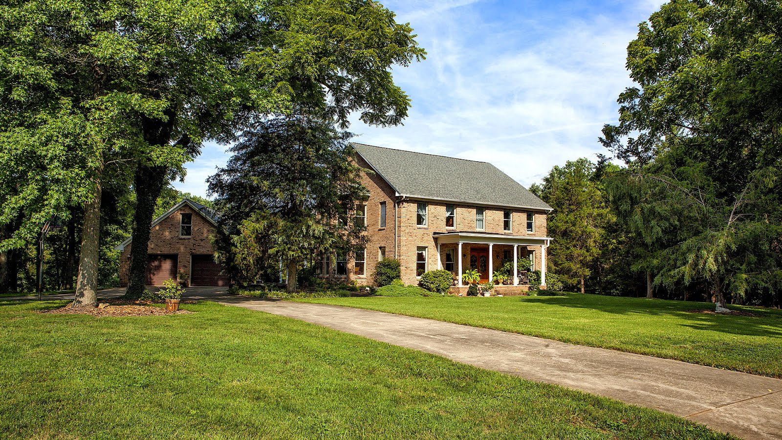 Oak Ridge, North Carolina Horse Horse Choices