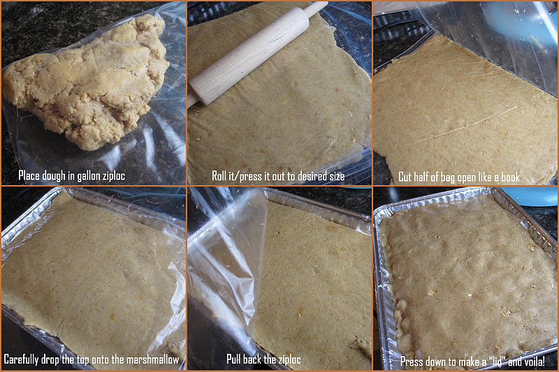 THE APRON GAL Baked S'mores