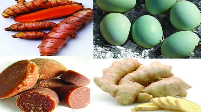 Jamu Ayam Aduan Kuat Nafas Siap Ngaceng Jamu Ayam Aduan Kuat Nafas Siap Ngaceng