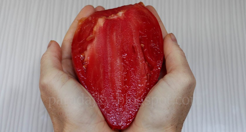 Býčie srdce paradajky