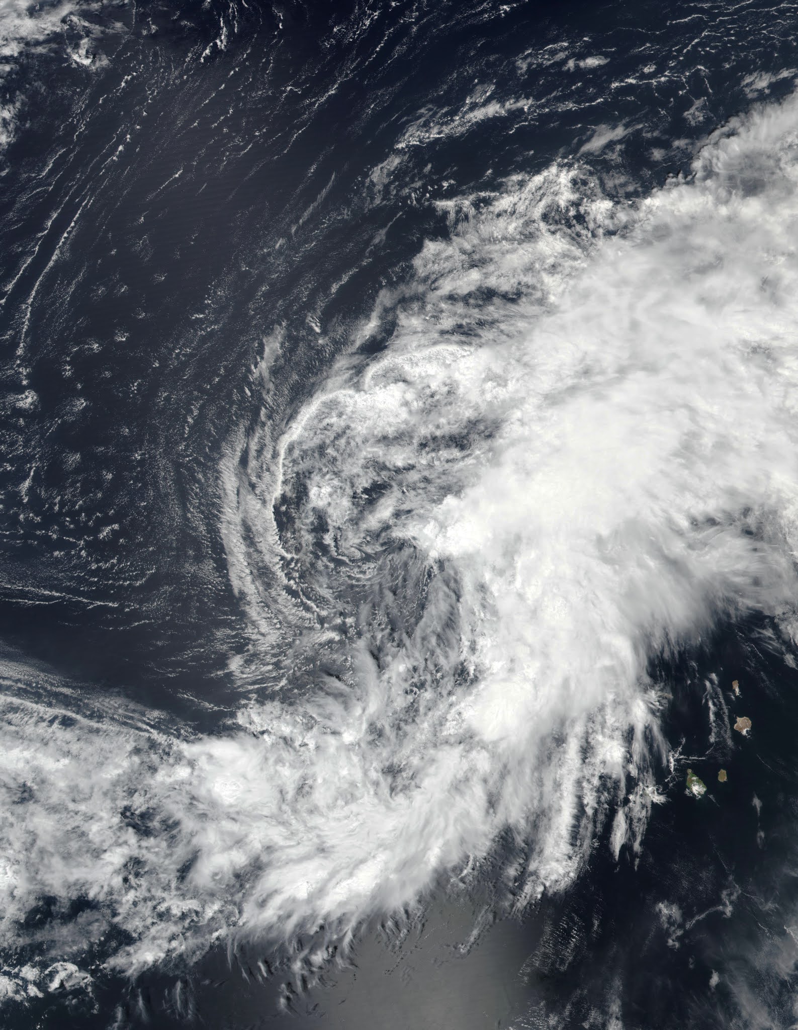 Professor Quibb: Tropical Storm Vicky (2020)