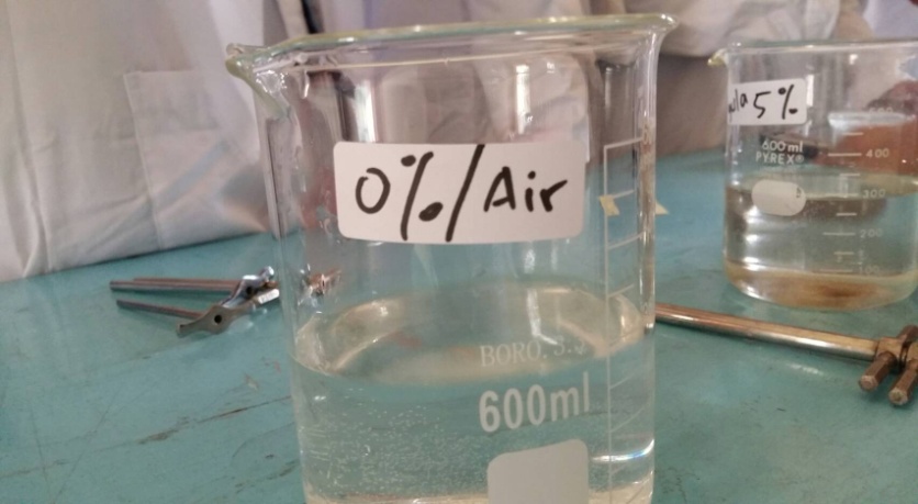 Makalah Proses Terjadinya Osmosis Peristiwa Osmosis Pada