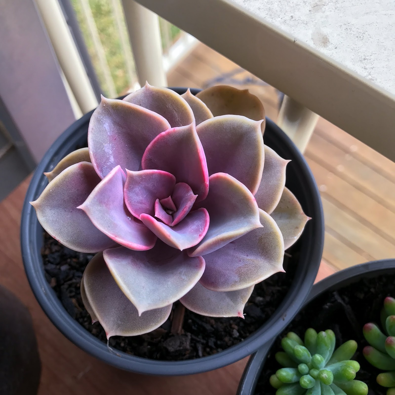 Takko Nurnberg Takko Nurnberg Heinrich 2020 03 19