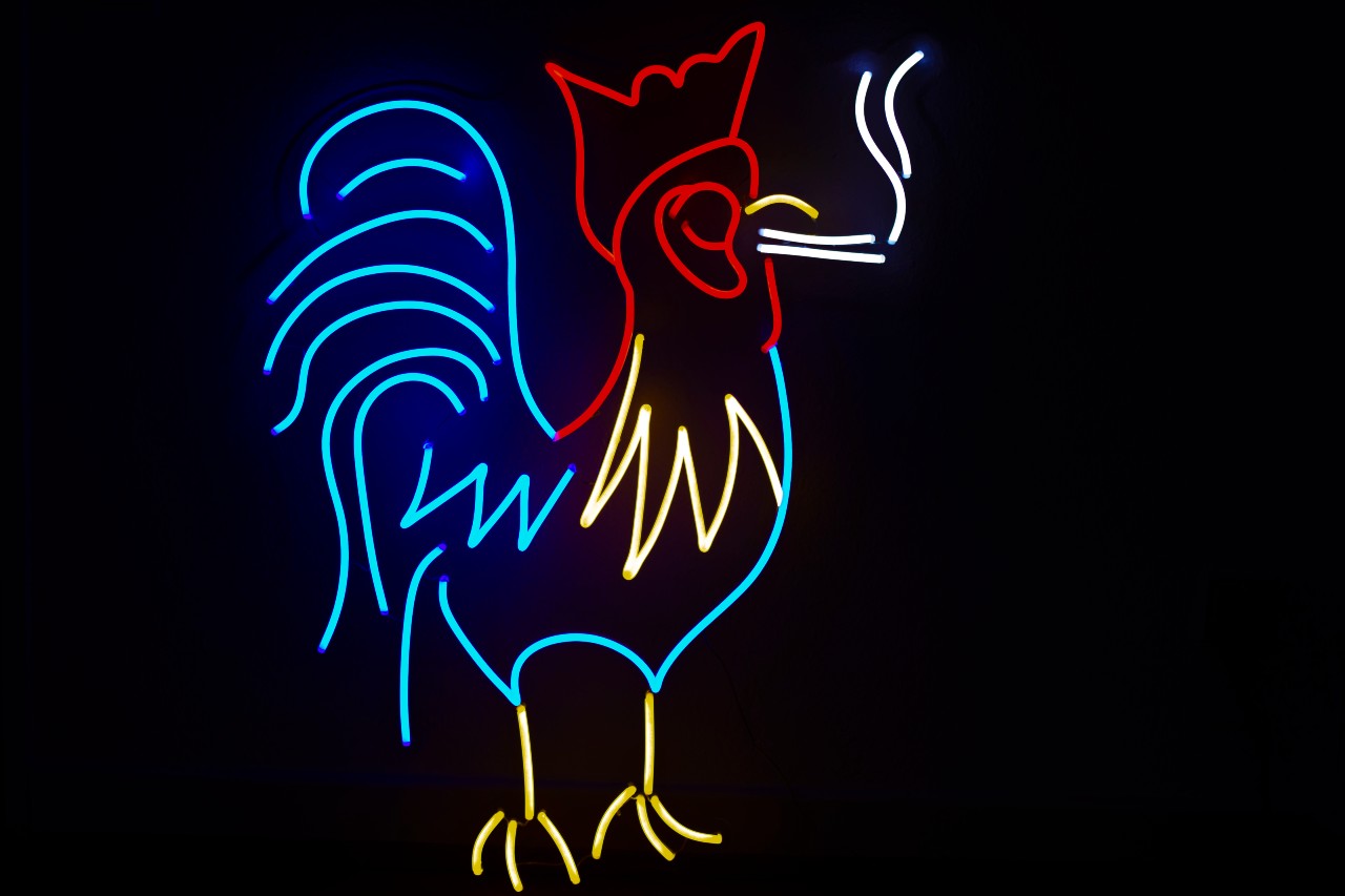 Alicja Hlibowickaโs Art Rules the Roost