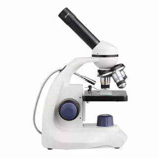 kính hiển vi sinh học cho giáo dục