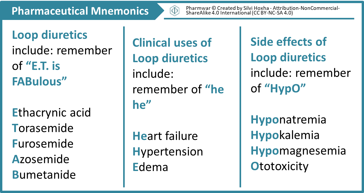 Loop Diuretics Mnemonics