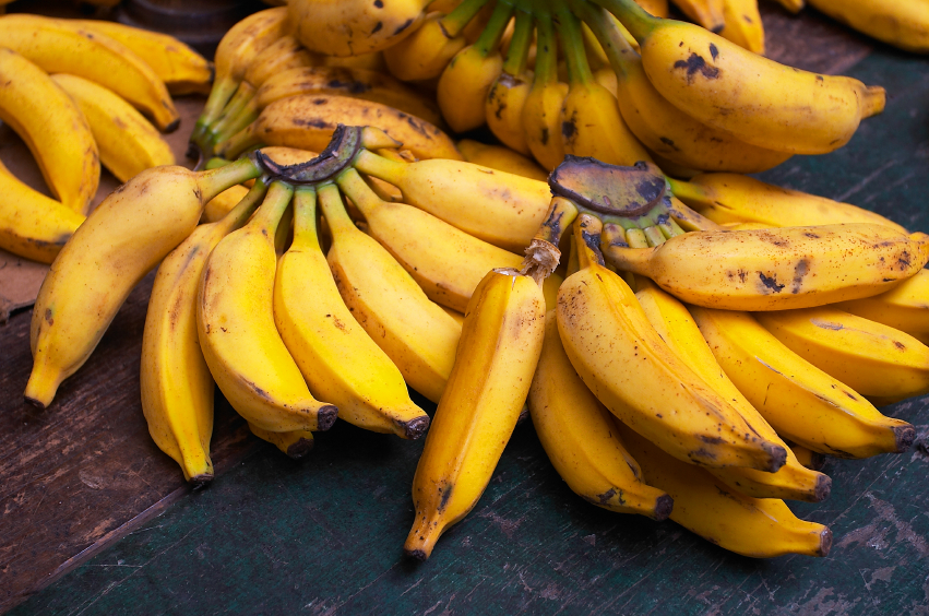 hur får man bort bananflugor ättika