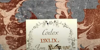 codex cumanicus nedir