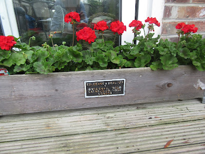 RED Geraniums http://snadralovesblogging.blogspot.co.uk/