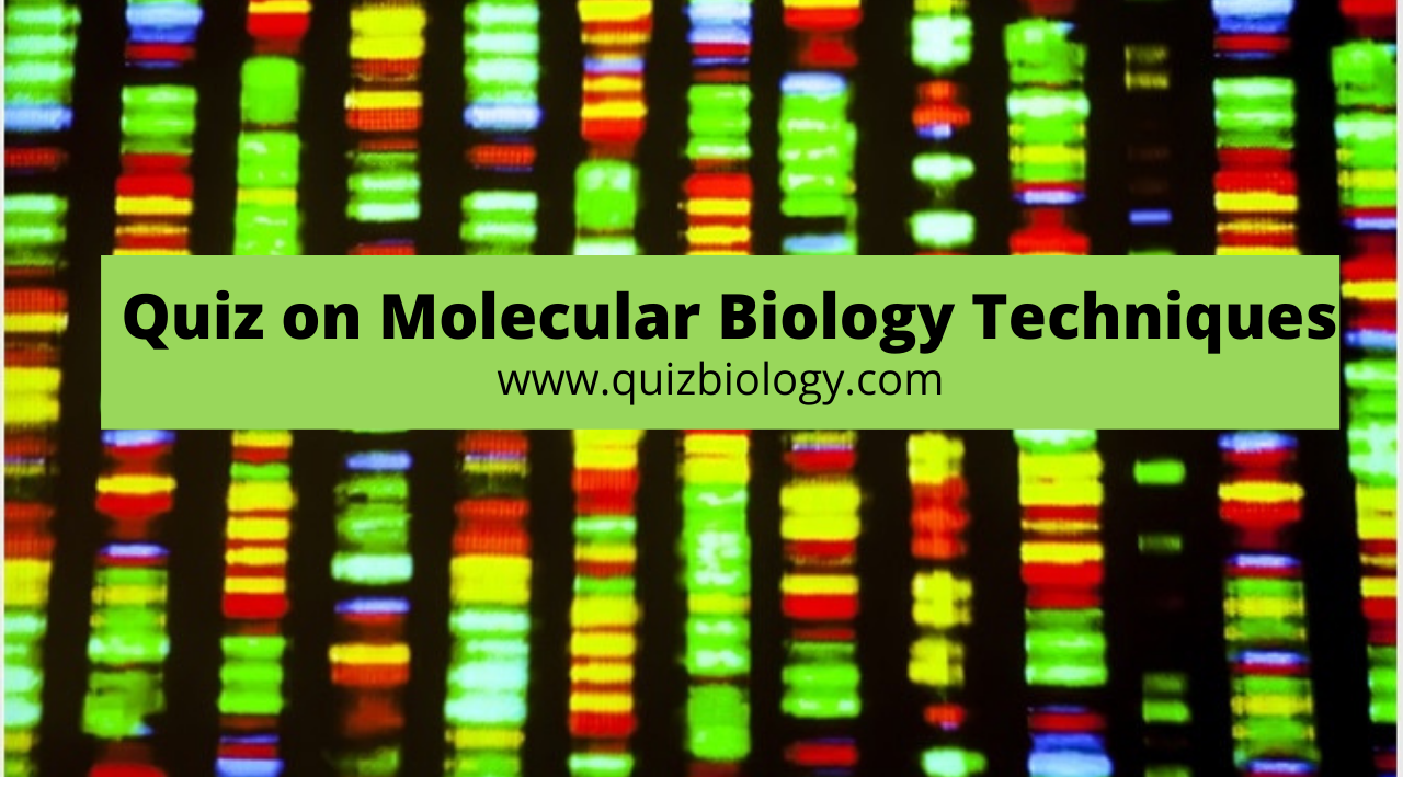 Multiple Choice Quiz on Molecular Biology Techniques Biotechnology Quiz