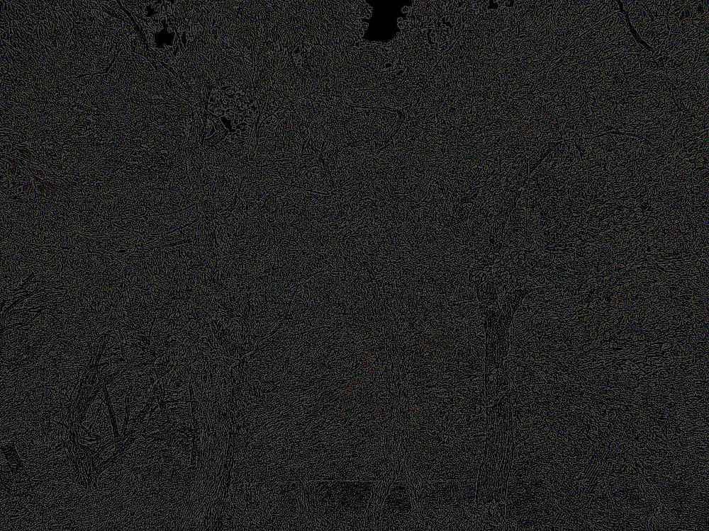 공주 태화산 마곡사 공주 태화산 마곡사