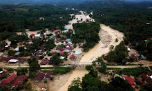 BNPB Ungkap Salah Faktor Penyebab Banjir Bandang di Luwu Utara