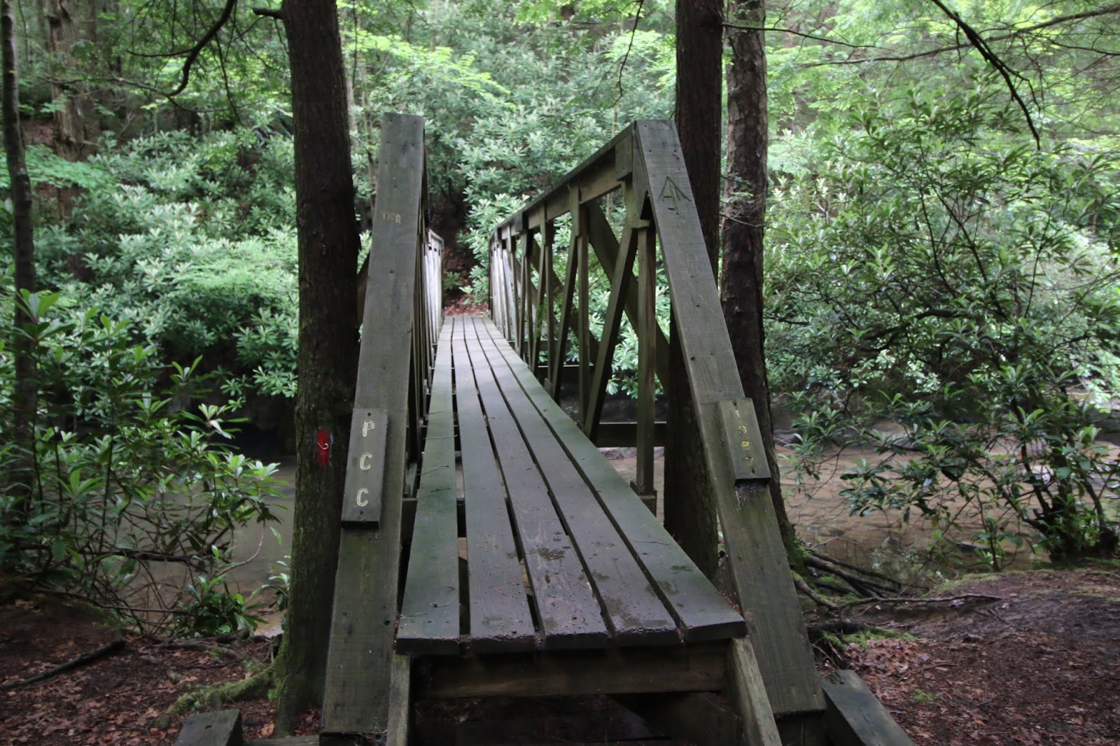 Hiking and Exploring the Quebec Run Wild Area, Forbes State Forest