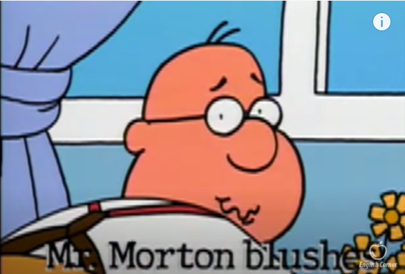 Mr morton essay structure video picture