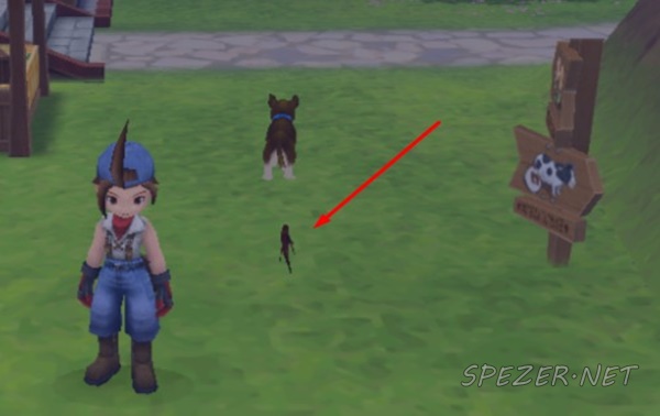 11 Lokasi Power Berry Di Game Harvest Moon Hero Of Leaf Valley Spezer Net