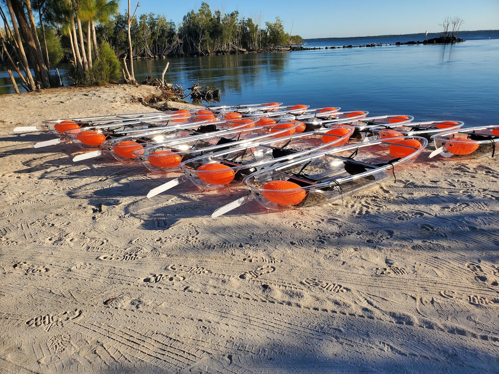 Mosquito Lagoon & Indian River Fishing Glass Bottom Kayaks