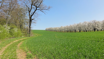 Bei Känerkinden Richtung Wittinsburg Bei Känerkinden Richtung Wittinsburg