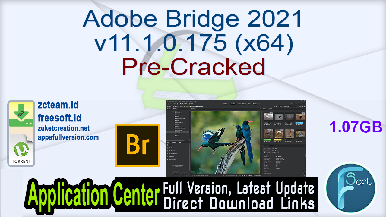 adobe bridge 2021 adobe bridge 2021