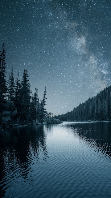 Night, Landscape, River, Trees, Starry Sky