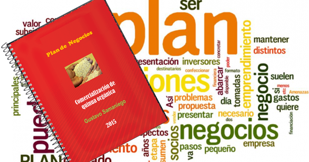 QUÉ ES UN PLAN DE NEGOCIOS ASESORÍA ASESORAMIENTO EN PLANES DE NEGOCIO