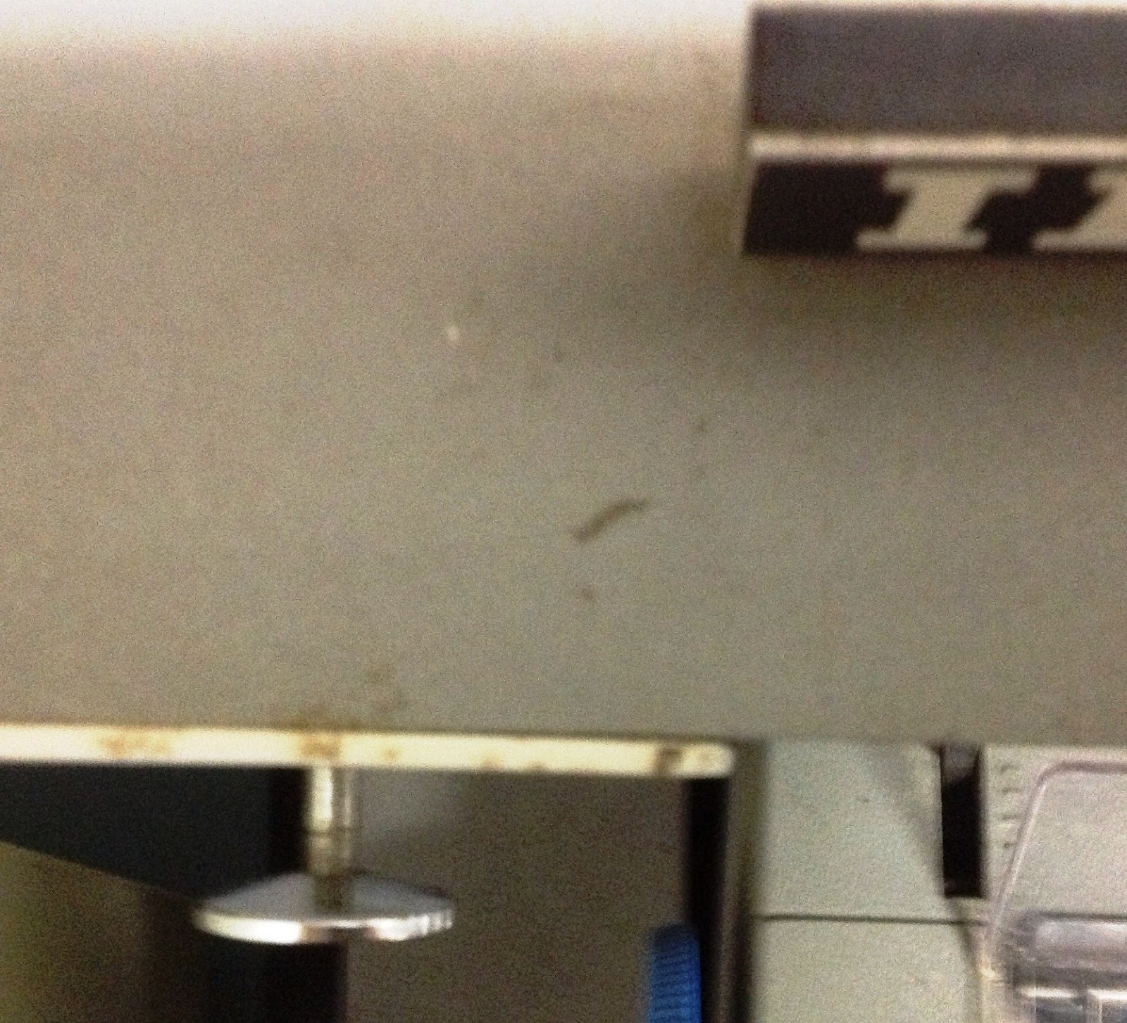 IBM 1130 Project: Capturing sufficiently detailed measurements of an