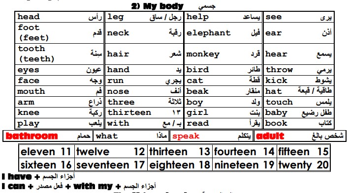 الجسم بالانجليزي للصف الاول أجزاء بحث عن