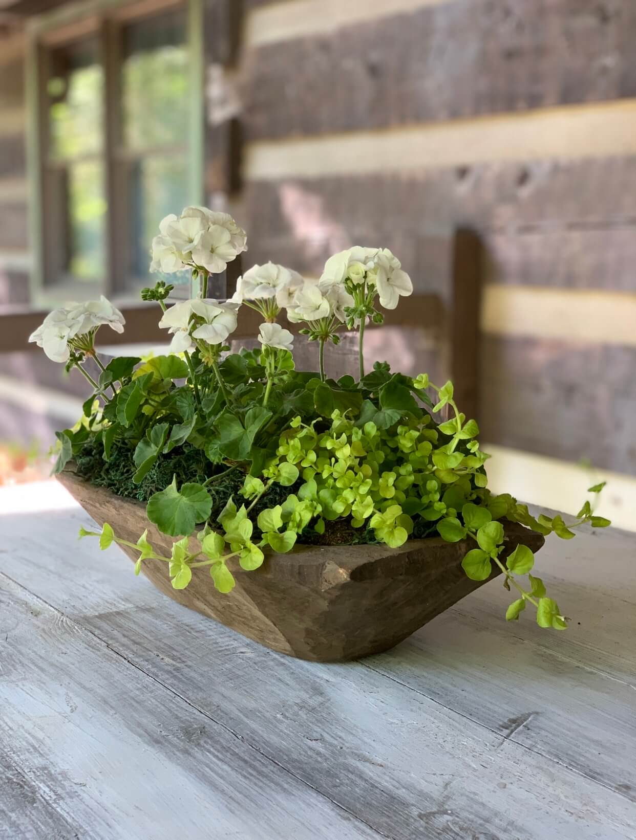 How to Make a Wood Dough Bowl Planter Centerpiece The Roots of Home