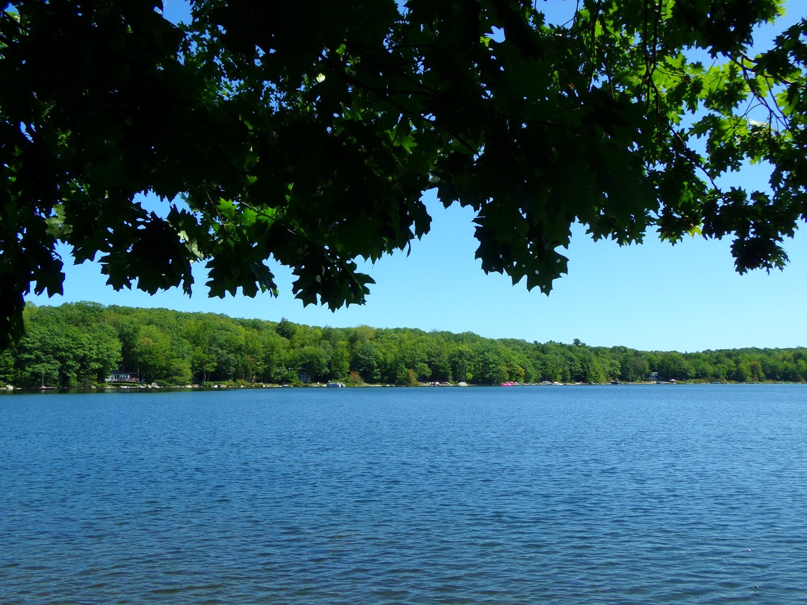 Swan Lake State Park, Swanville, Maine (return visit)