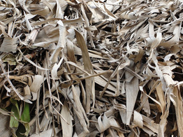 carbon source used for composting