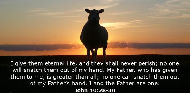  I give them eternal life, and they shall never perish; no one will snatch them out of my hand. My Father, who has given them to me, is greater than all; no one can snatch them out of my Father’s hand. I and the Father are one.
