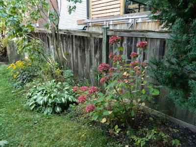 Riverdale backyard fall cleanup before by Paul Jung Gardening Services Toronto Riverdale backyard fall cleanup before by Paul Jung Gardening Services Toronto