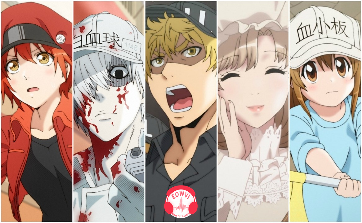 Eowvi Blogspot Com Eowvi Download Hataraku Saibou Tv Eowvi Blogspot Com Eowvi Download Hataraku Saibou Tv