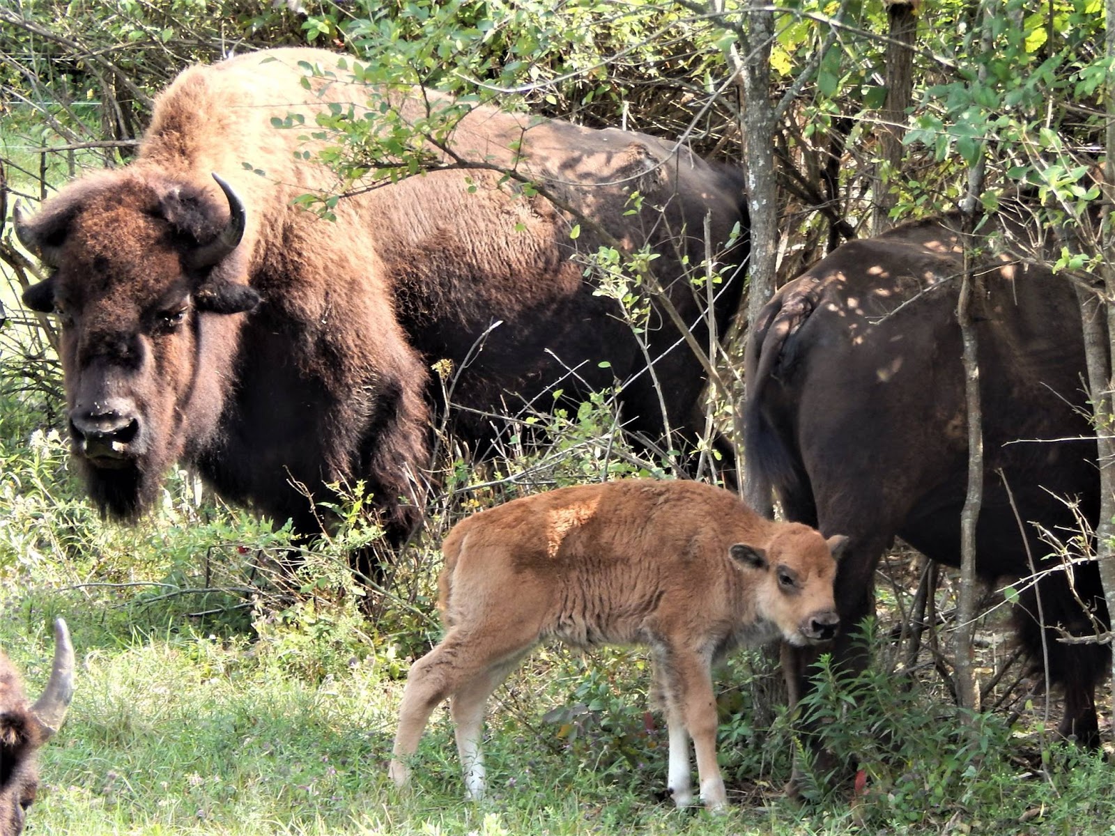 Joseph Noto Digital Art Portfolio Photography