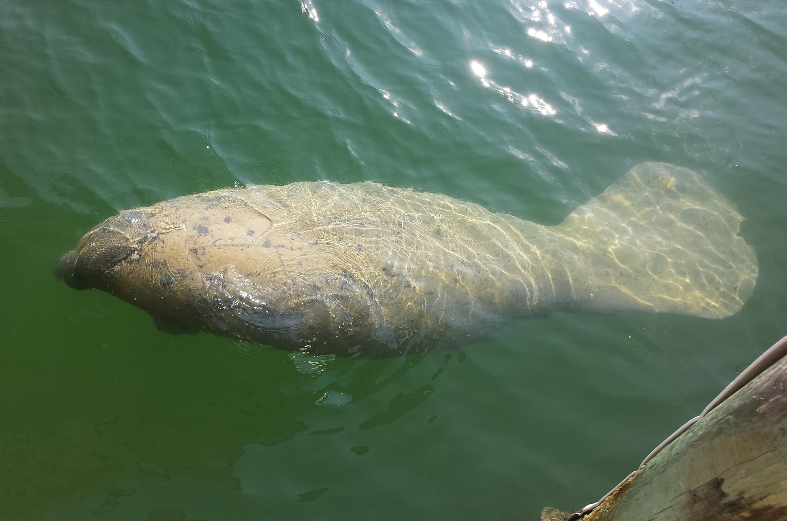 Our Odyssey Boot Key Harbor