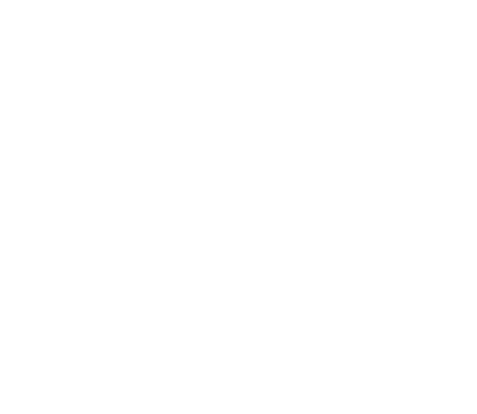 Proyecto Capricornio