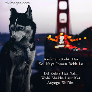 breakup images with shayari hindi hd download free for whatsapp breakup images with shayari hindi hd download free for whatsapp