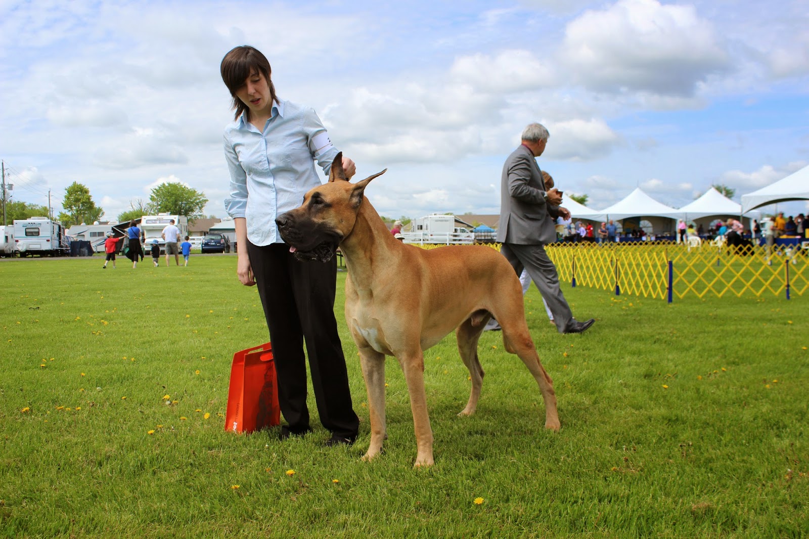 Know Thy Dog More pictures from the Ottawa Kennel Club Spring show!