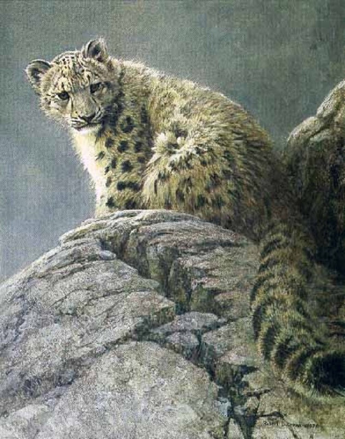 Роберт Бейтмэн / Robert Bateman Young Snow Leopard