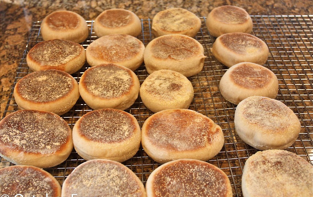 Whole Wheat English Muffin Recipe