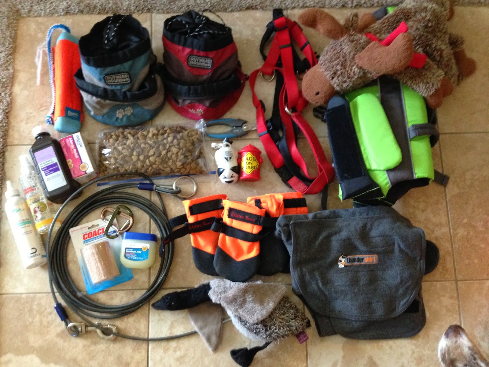 Bark About It Camping with Dogs 101