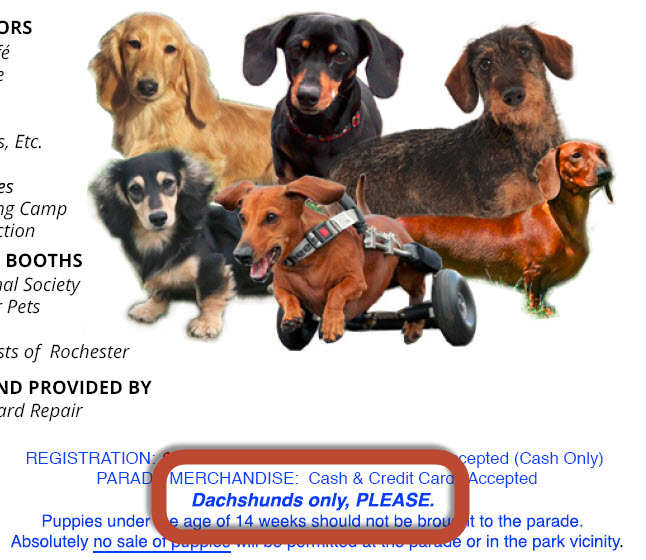 Rochester Dachshund Parade
