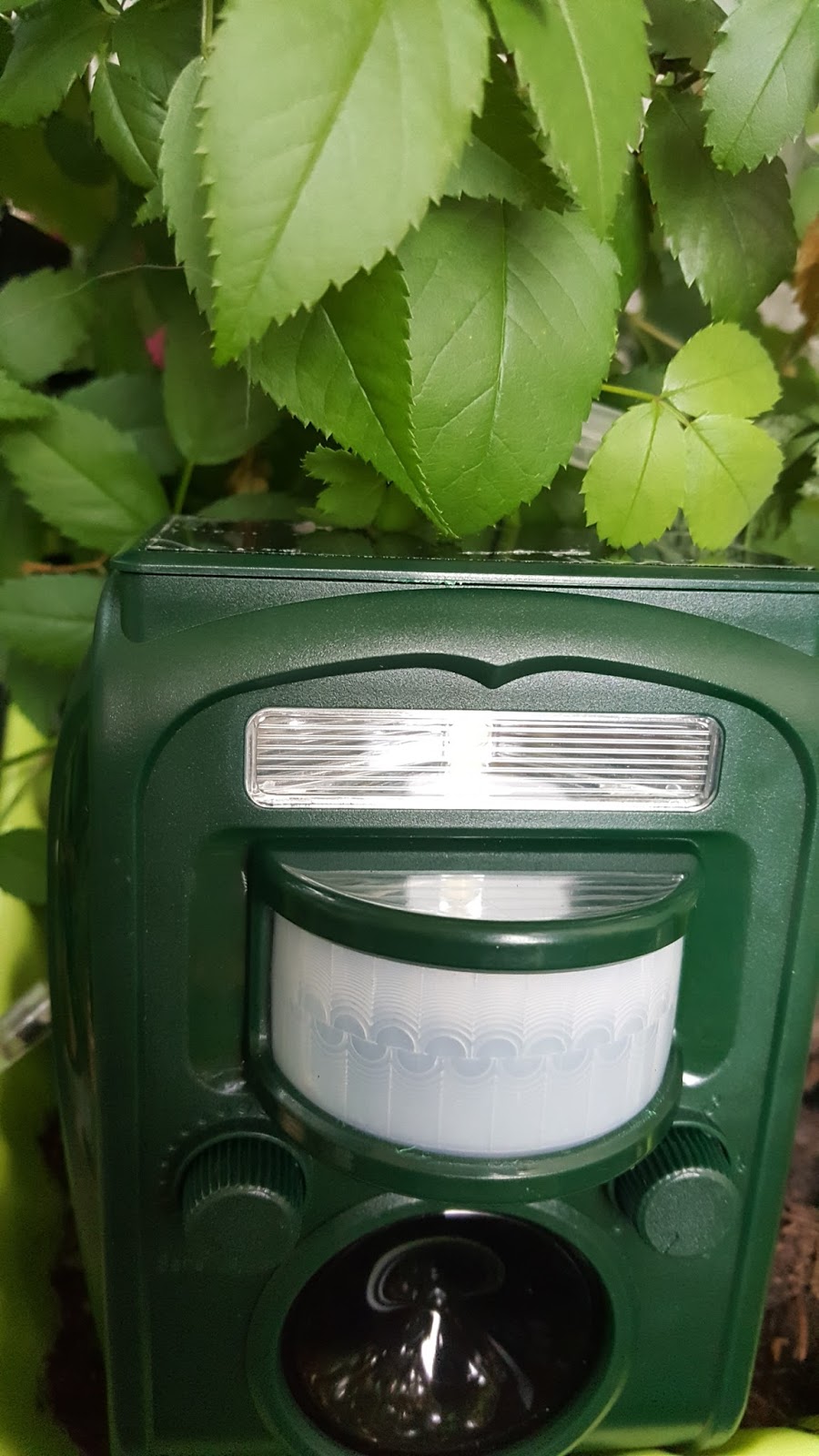 Mona S Blog Bestva Solar Katzenschreck Wasserdichte Ultraschall