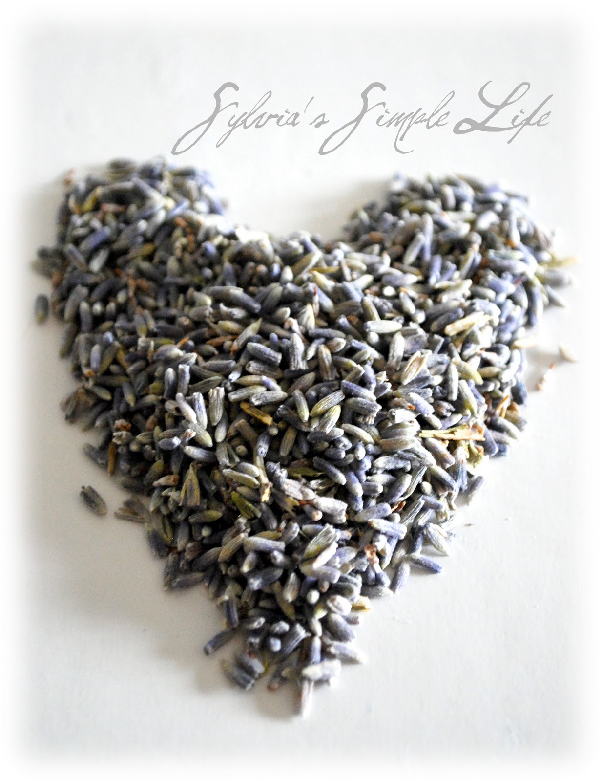 Smell the Lavender Sylvia's Simple Life