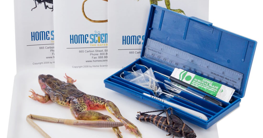 Frog dissection tools lokitx